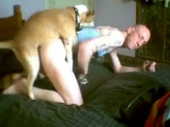Dog-related gay beastiality porn